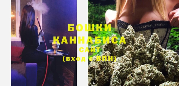 PSILOCYBIN Алексеевка