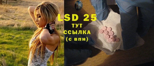 PSILOCYBIN Алексеевка