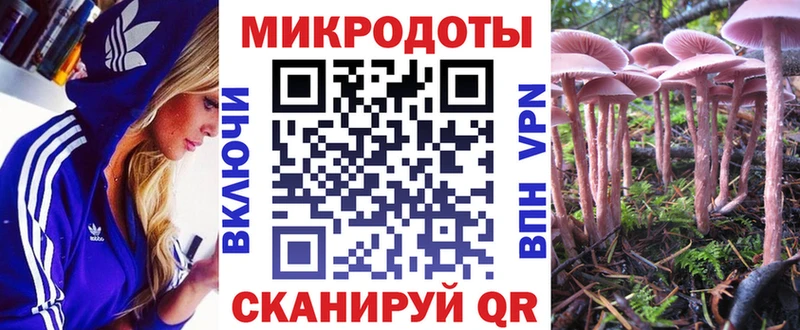 Псилоцибиновые грибы Psilocybe  omg ONION  Жуковка  магазин продажи наркотиков 